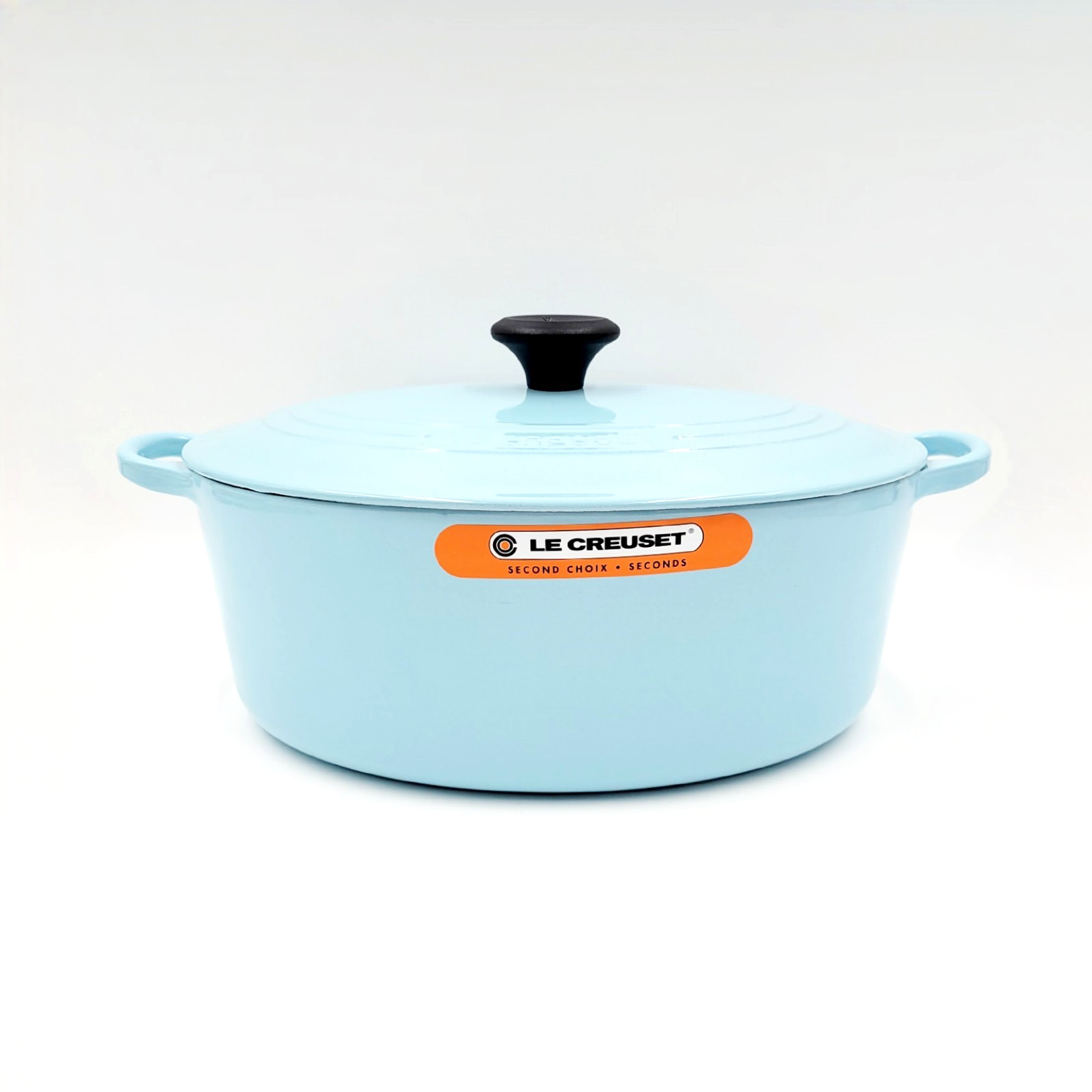 RARE Le Creuset Cast Iron Dutch Oven Pot 6.75qt. Oval ***Sky Blue*** #31 NEW