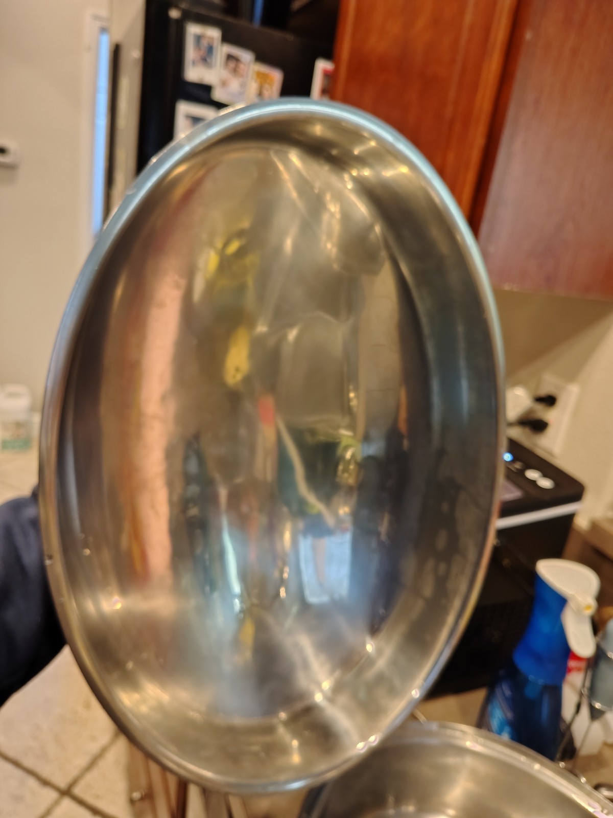 Culinary Essentials Brand Used Stainless Steel Oval Roasting Pan With Domed Lid