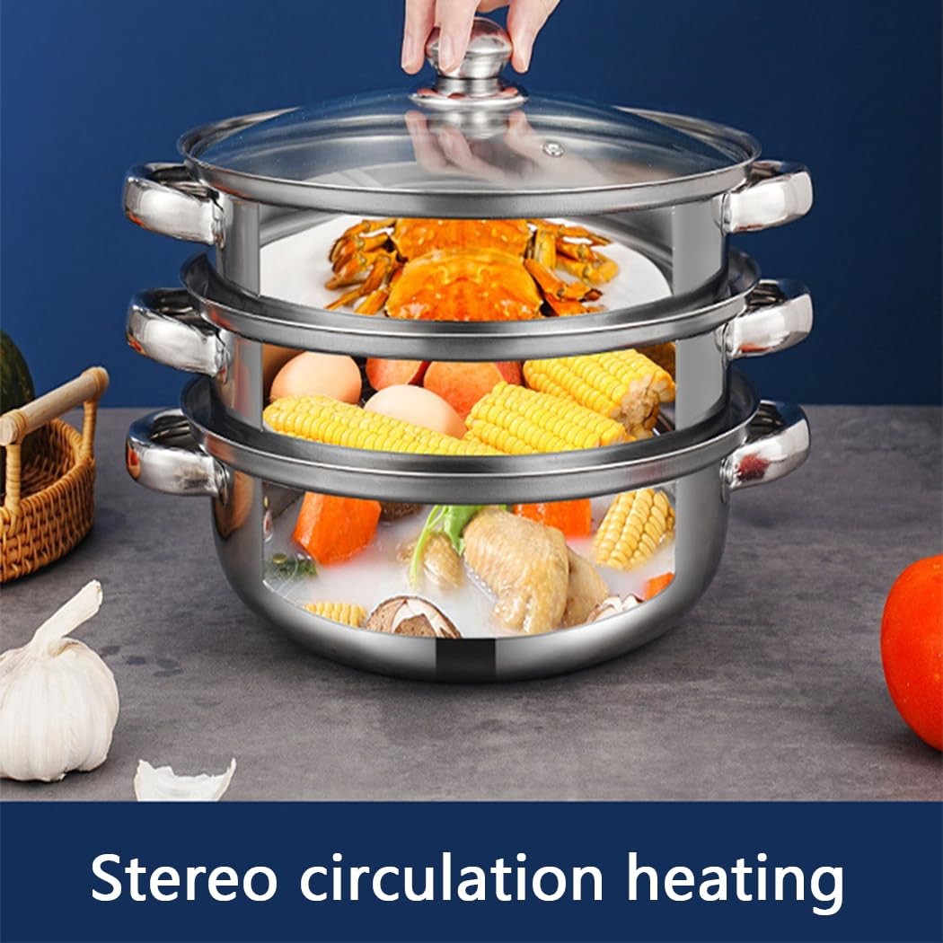 Steamer Pot for Cooking 3.0-Quart Steam Pot with Lid 2-tier Multipurpose Stai…