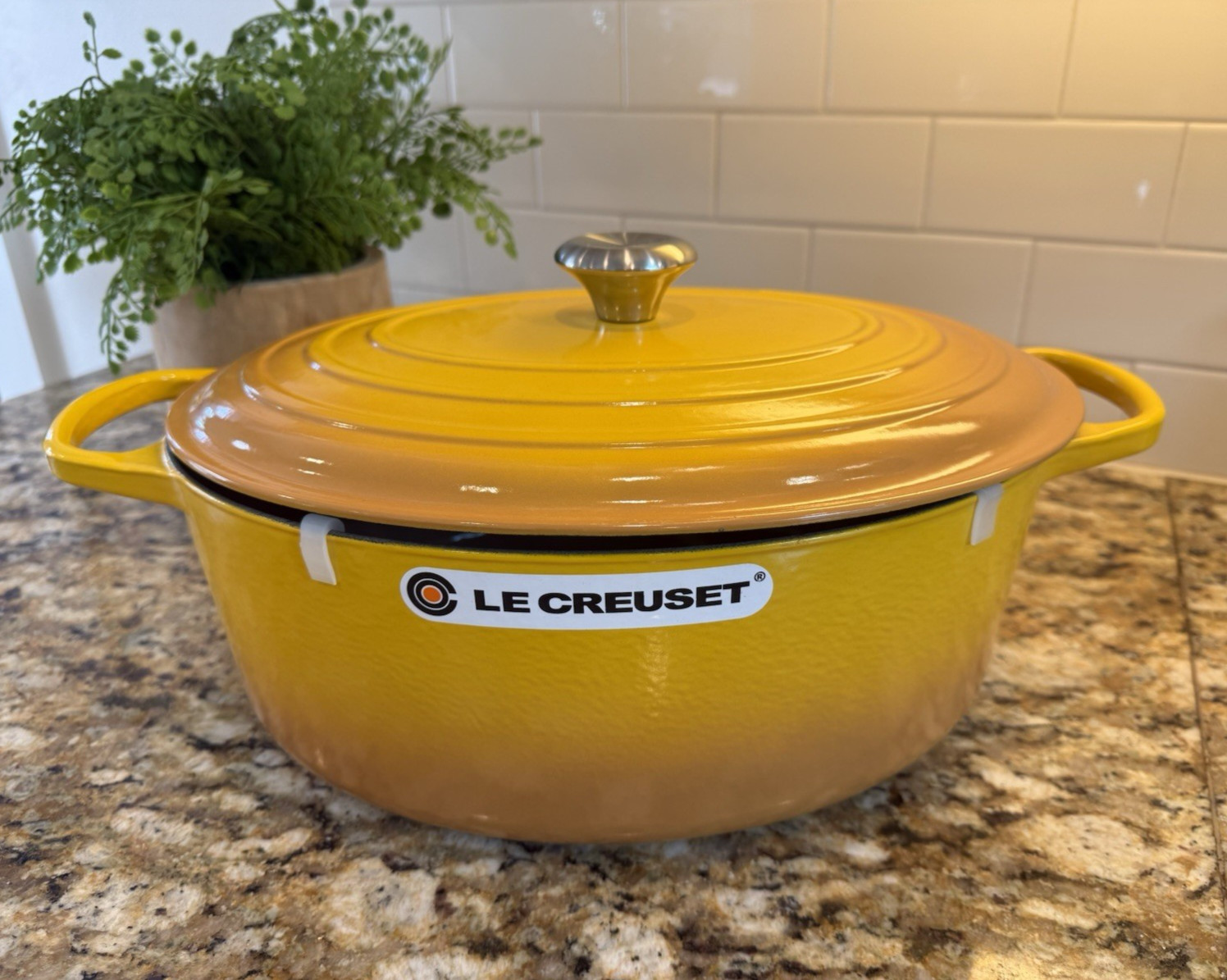 NEW Le Creuset Signature Oval Dutch Oven 9.5 qt 35 cm – NECTAR – William Sonoma