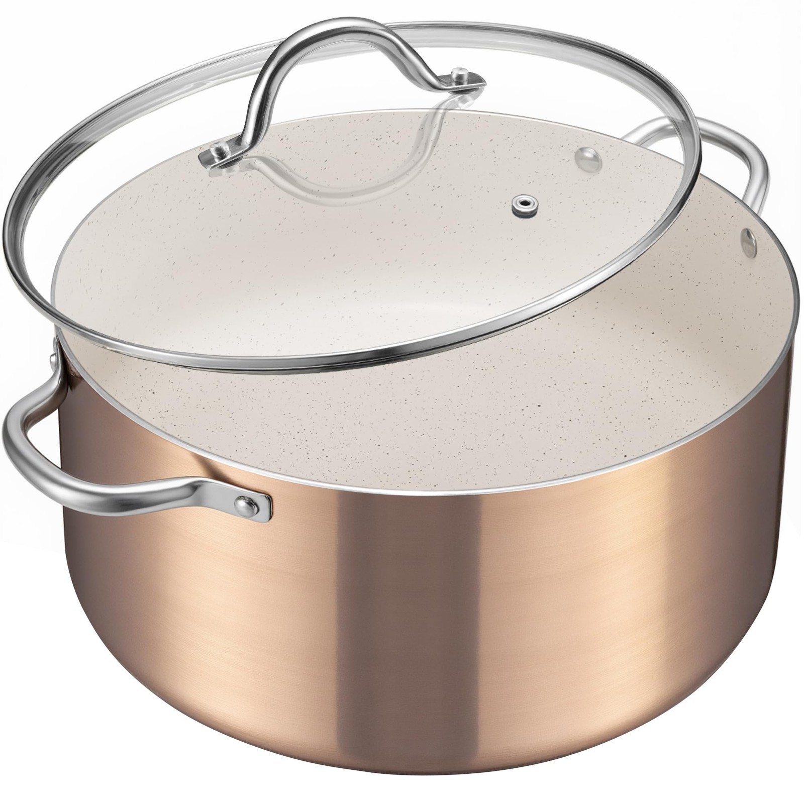 Large 10 Quart Nonstick Cooking Pot with Lid, Induction Stock Pot, Soup Pot f…