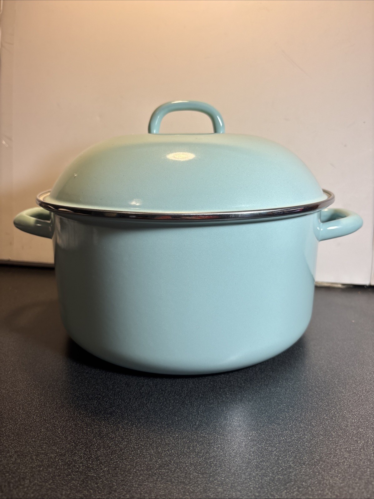 6.4-Quart Enamel On Steel Scratch Resistant Dutch Oven w/Lid – Martha Blue