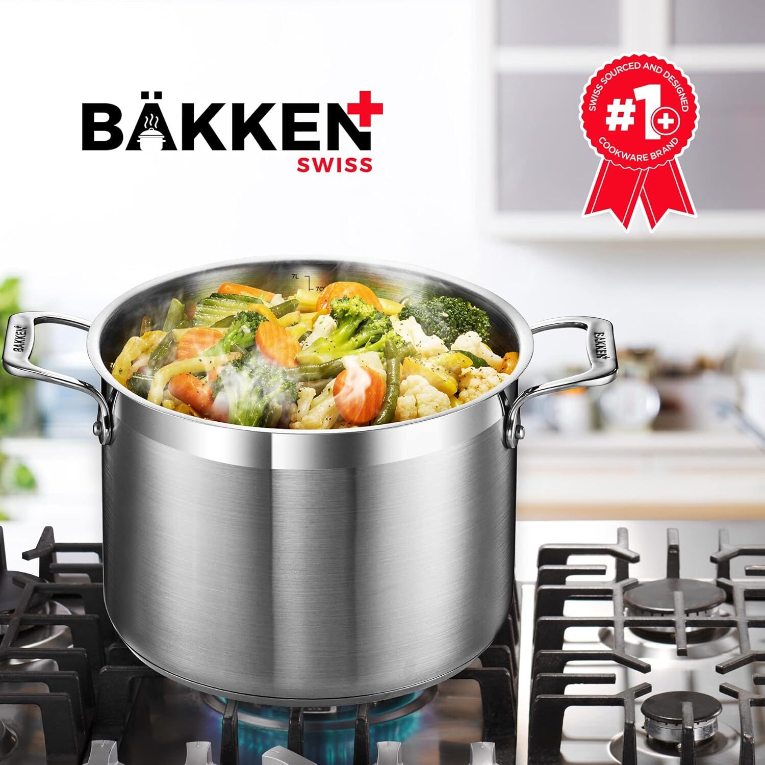 12-Quart Stockpot, Heavy Duty Stainless Steel, Induction, Lid & Riveted Handles