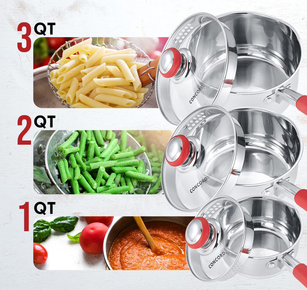 CONCORD Simple Pour Stainless Steel Saucepan with Vented Glass Lid