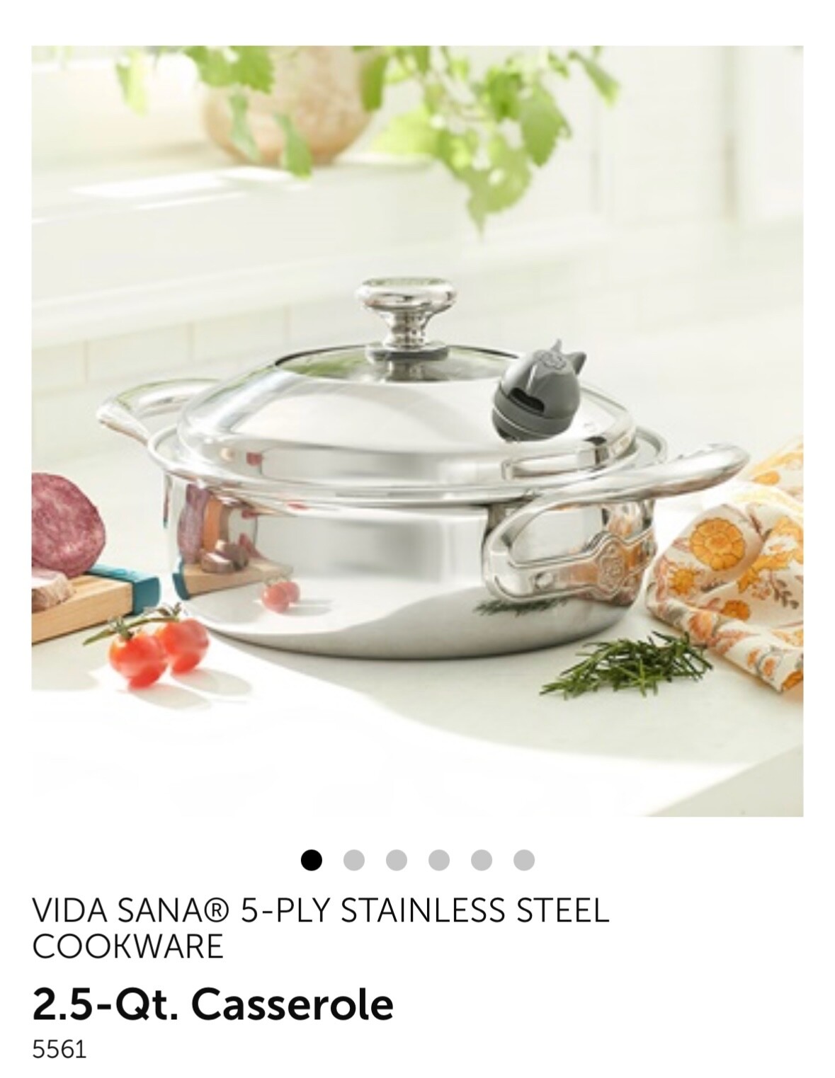 PRINCESS HOUSE STAINLESS STEEL VIDA SANA 5-PLY 2.5-Qt. Casserole
