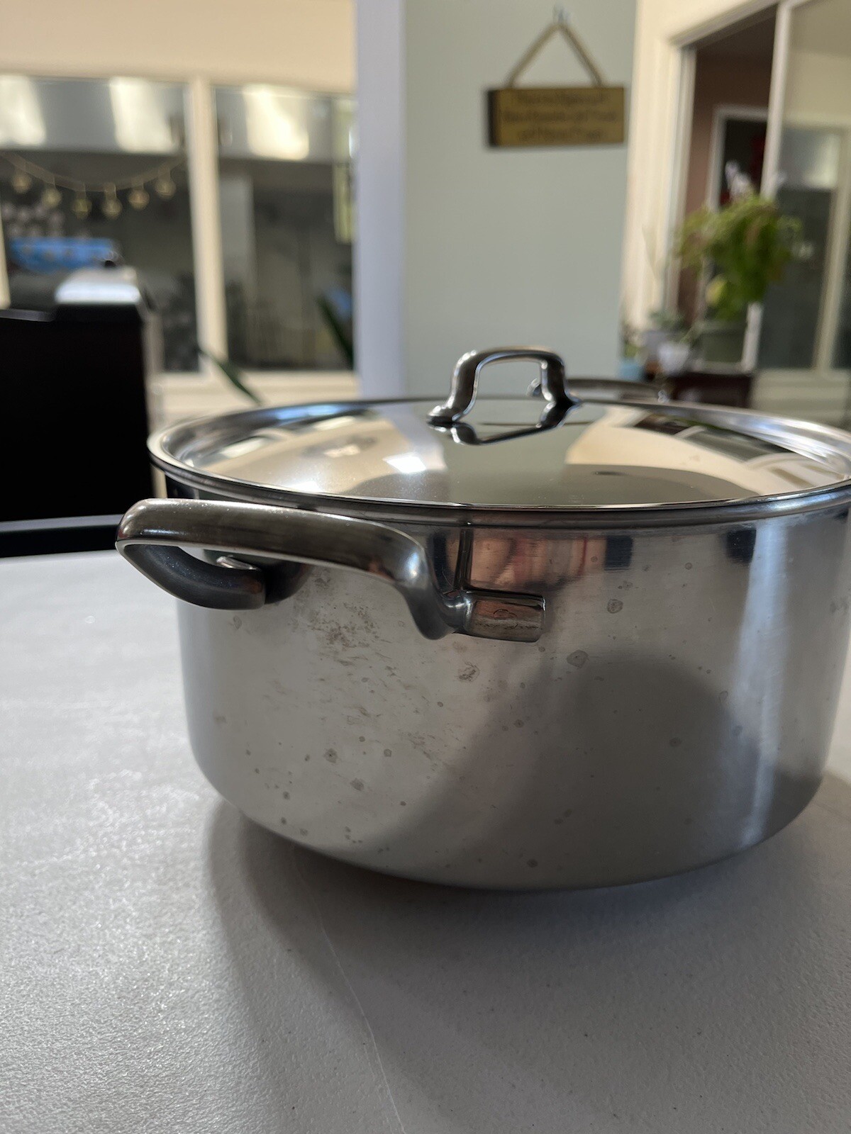 Inox Italy 18/C V.I.S. Stainless Steel Steamer With Lid Tray 5”