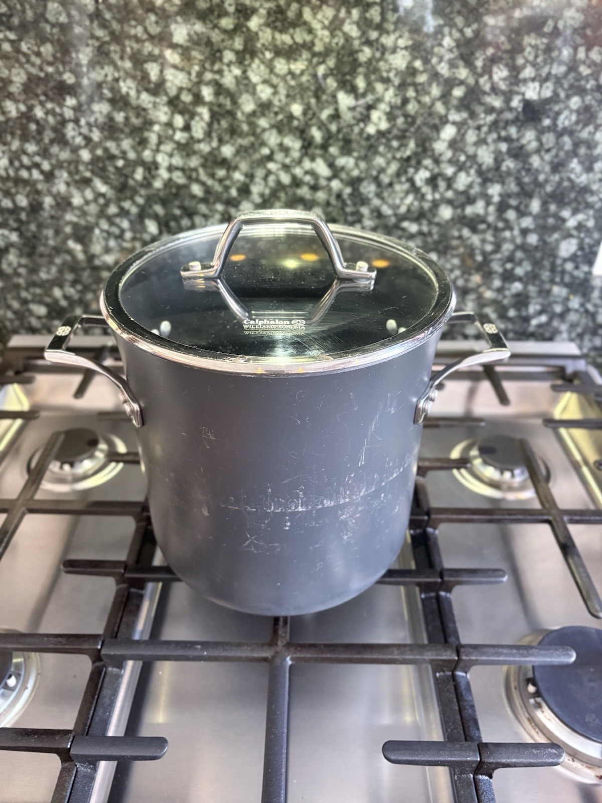 CALPHALON Williams Sonoma Style 808 8 Qt Stockpot with Glass Lid