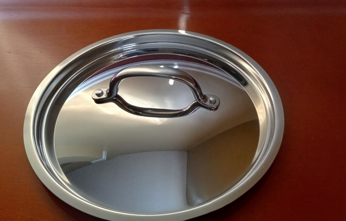 Unbranded Stainless Steel Replacement Lid, Outer Rim 10″, Inner Lip 9.25″