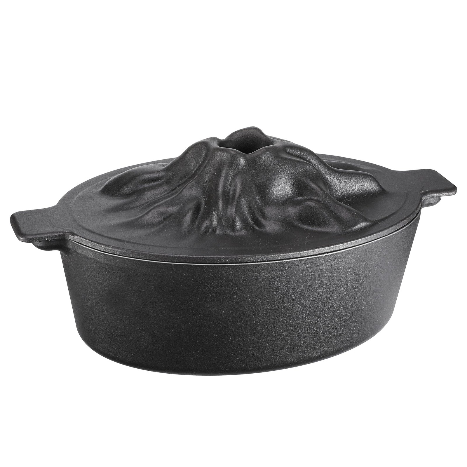 Wood Stove Steamer Humidifier Cast Iron Porcelain Fireplace Pot Black