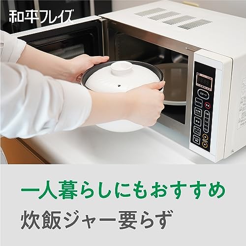 Wahei Freiz Minori Takezen RB-2856 Microwaveable Rice Cooker Earthenware Pot