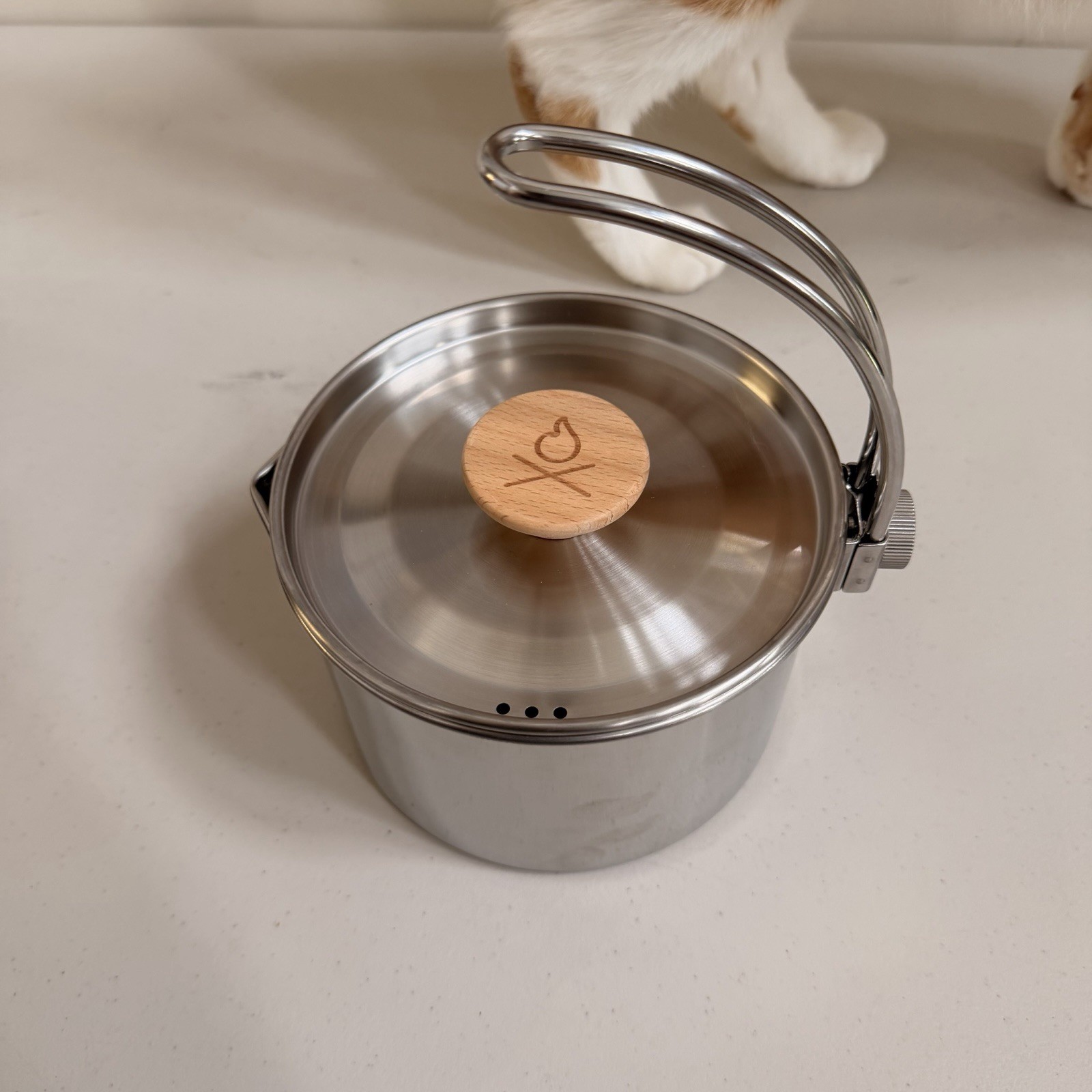 Stainless Steel 1.2L Saucepan w/ Lid, Double Handle, Silver Round