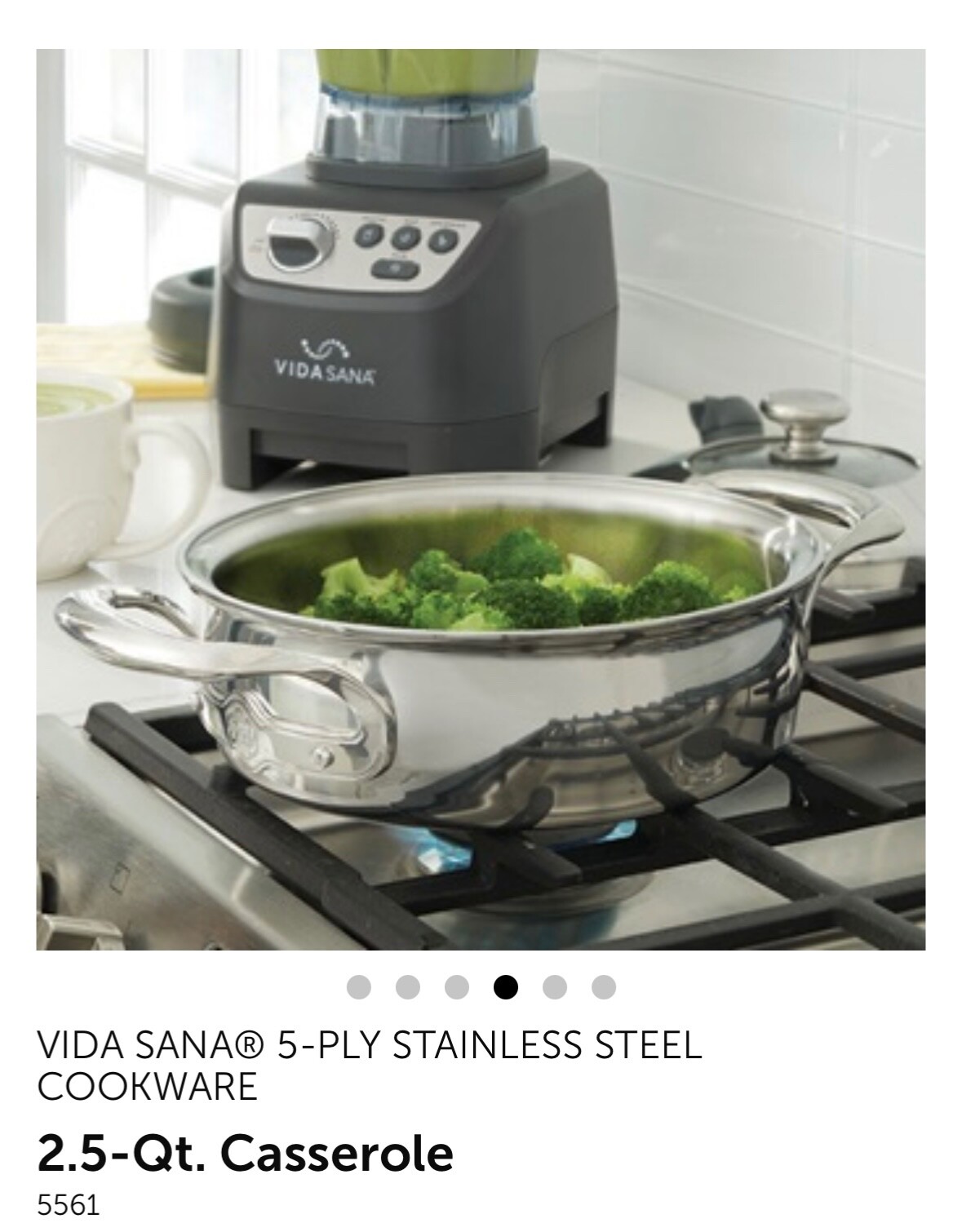 PRINCESS HOUSE STAINLESS STEEL VIDA SANA 5-PLY 2.5-Qt. Casserole