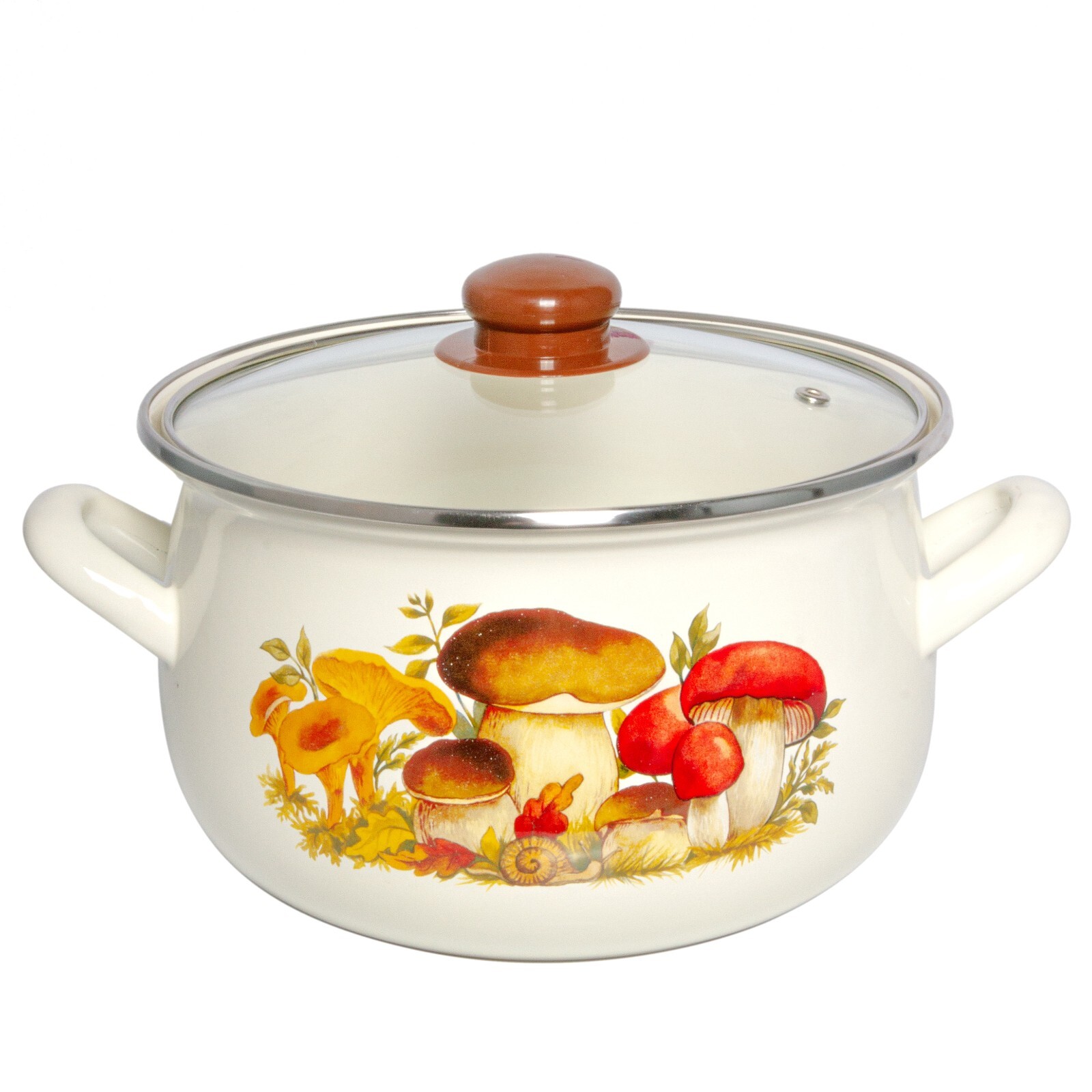 MUSHROOMS Enamelware Stockpot with Glass Lids, Enameled Cooking Pot 6.5 qt