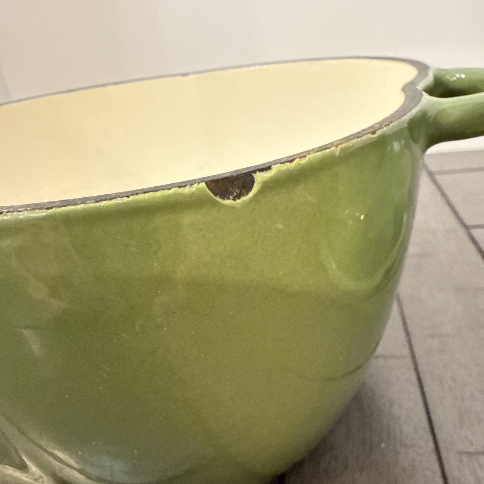 Technique Green Bell Pepper Enameled Cast Iron Dutch Oven Pot Casserole