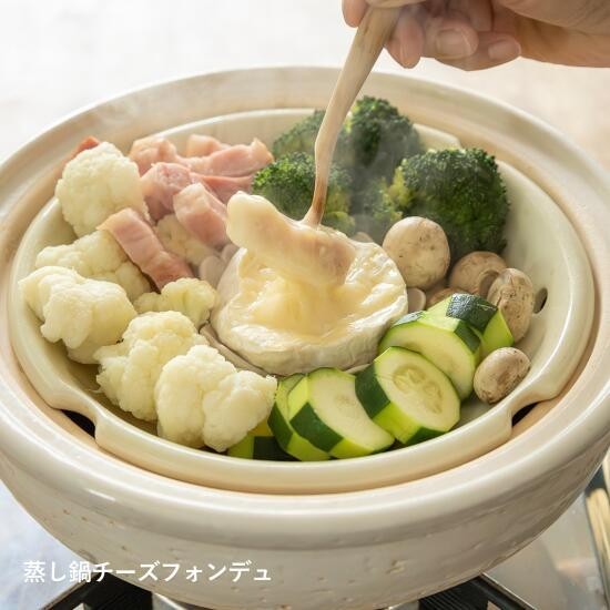 NAGATANIEN IGA Donabe Steam Pot Earthenware 2-4person White Made in Japan 27cm