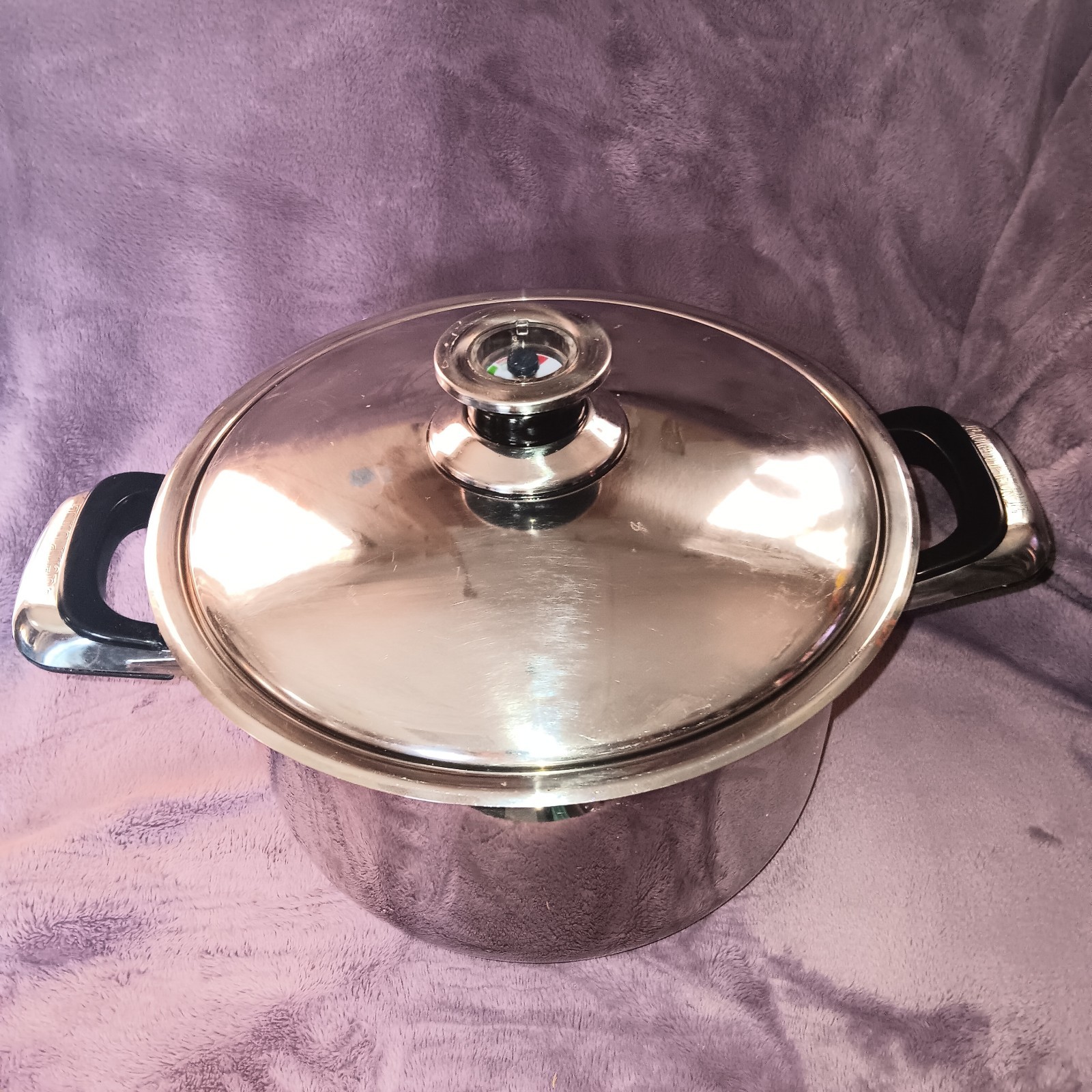 EdenPure Surgical Grade Stainless Steel, W/temp Gauge T304 ” Lifetime Sauce Pot