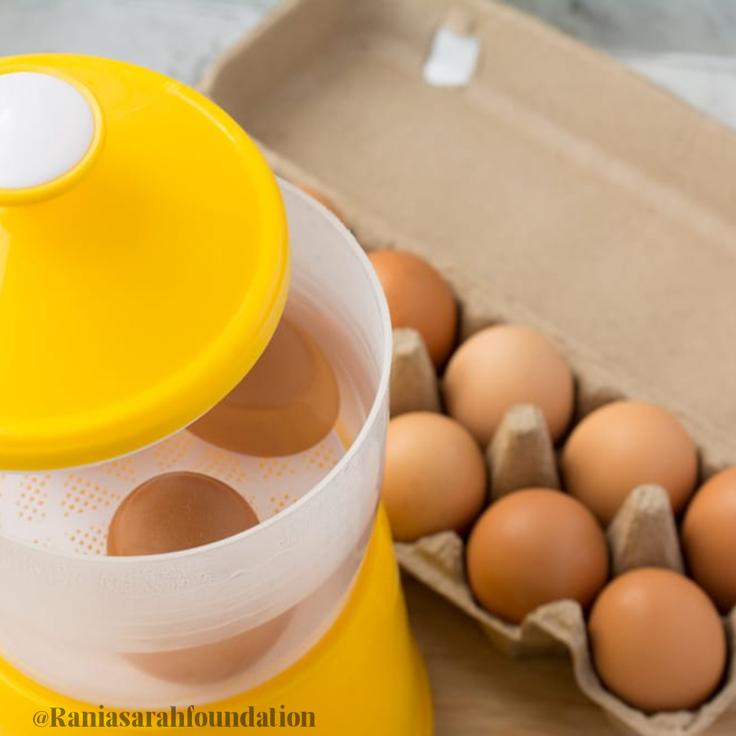 Half Boiled Egg Maker Yellow Color Malaysian Recipe Original Made in Malaysia