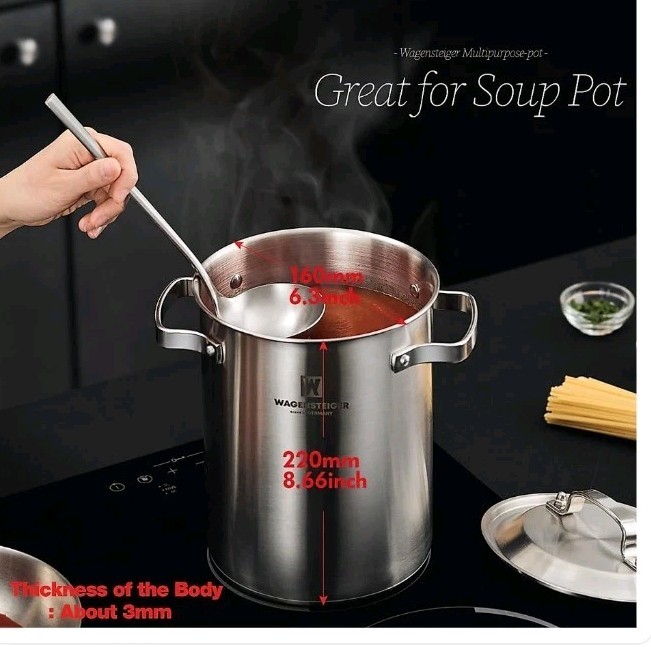 WAGENSTEIGER Premium Stainless Steel Asparagus Steamer Pot or Spaghetti Pasta St