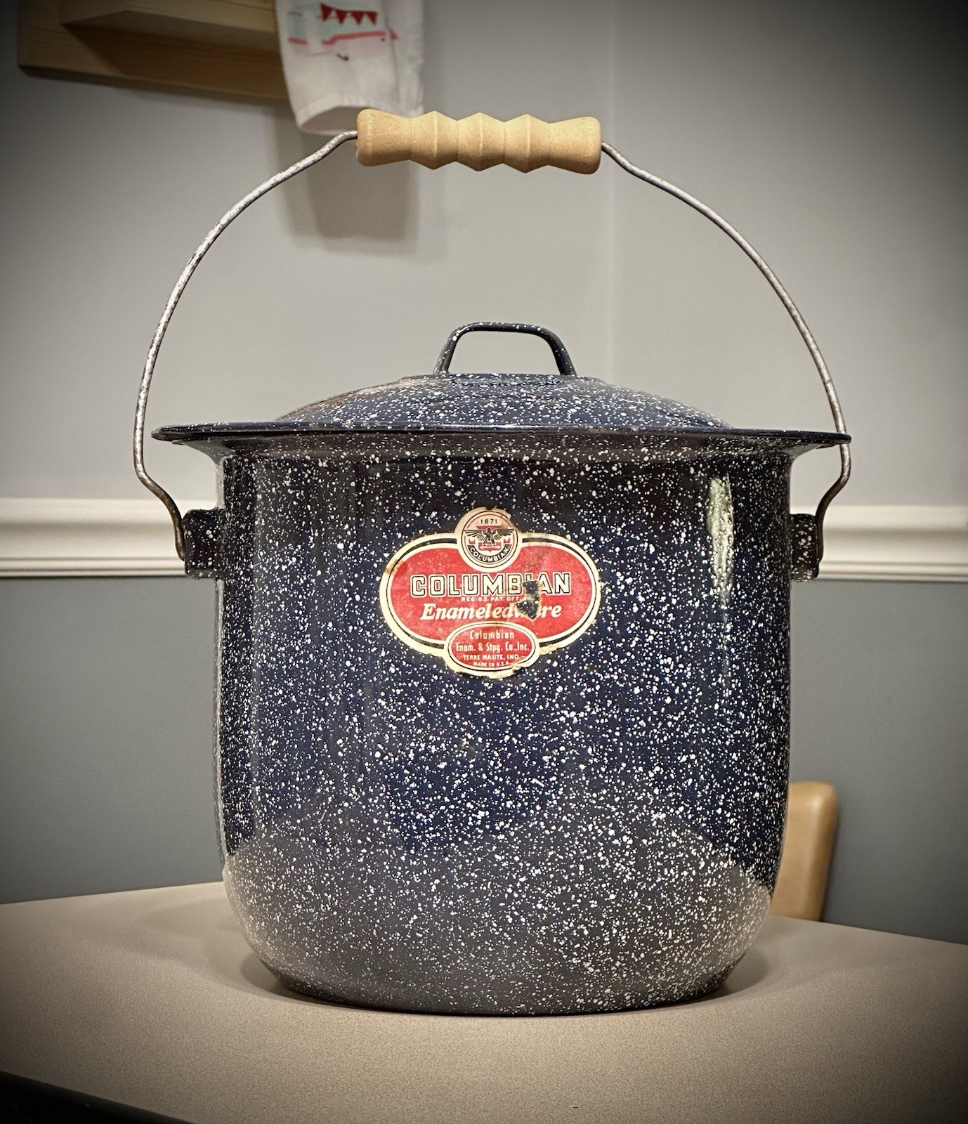 Columbian Enamelware Blue Speckled Stockpot with Lid and Single Handle