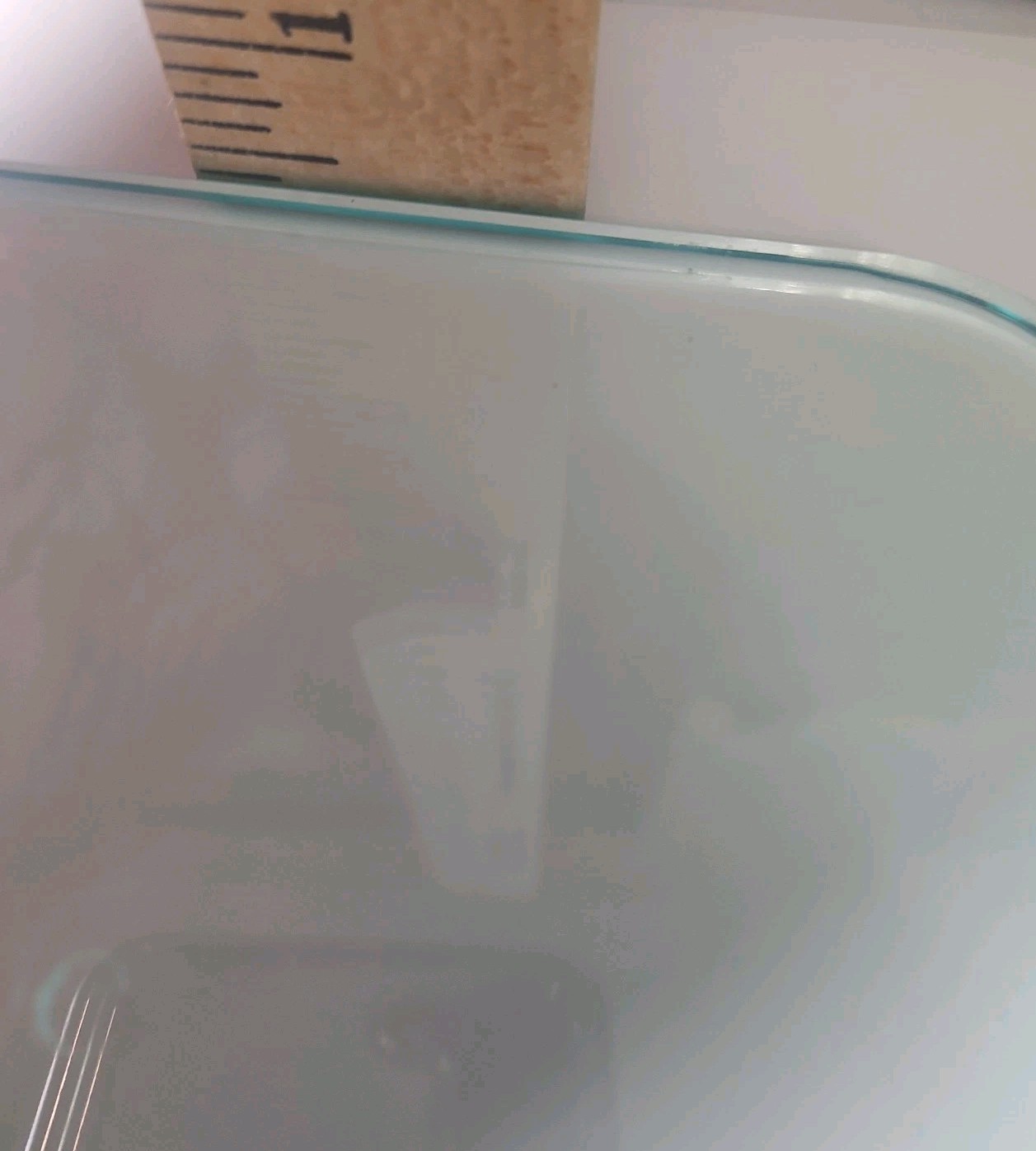 Technique 9″ Square 3lb Weighted Glass Bacon Burger Press , Insulated Handle