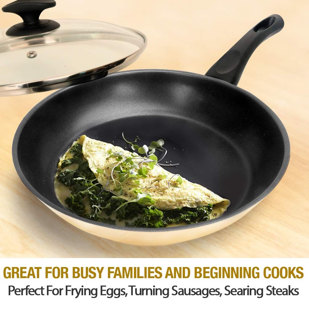 Homichef 11 Inch Nonstick Frying Pan And Skillet – The Ultimate Omelet Pan
