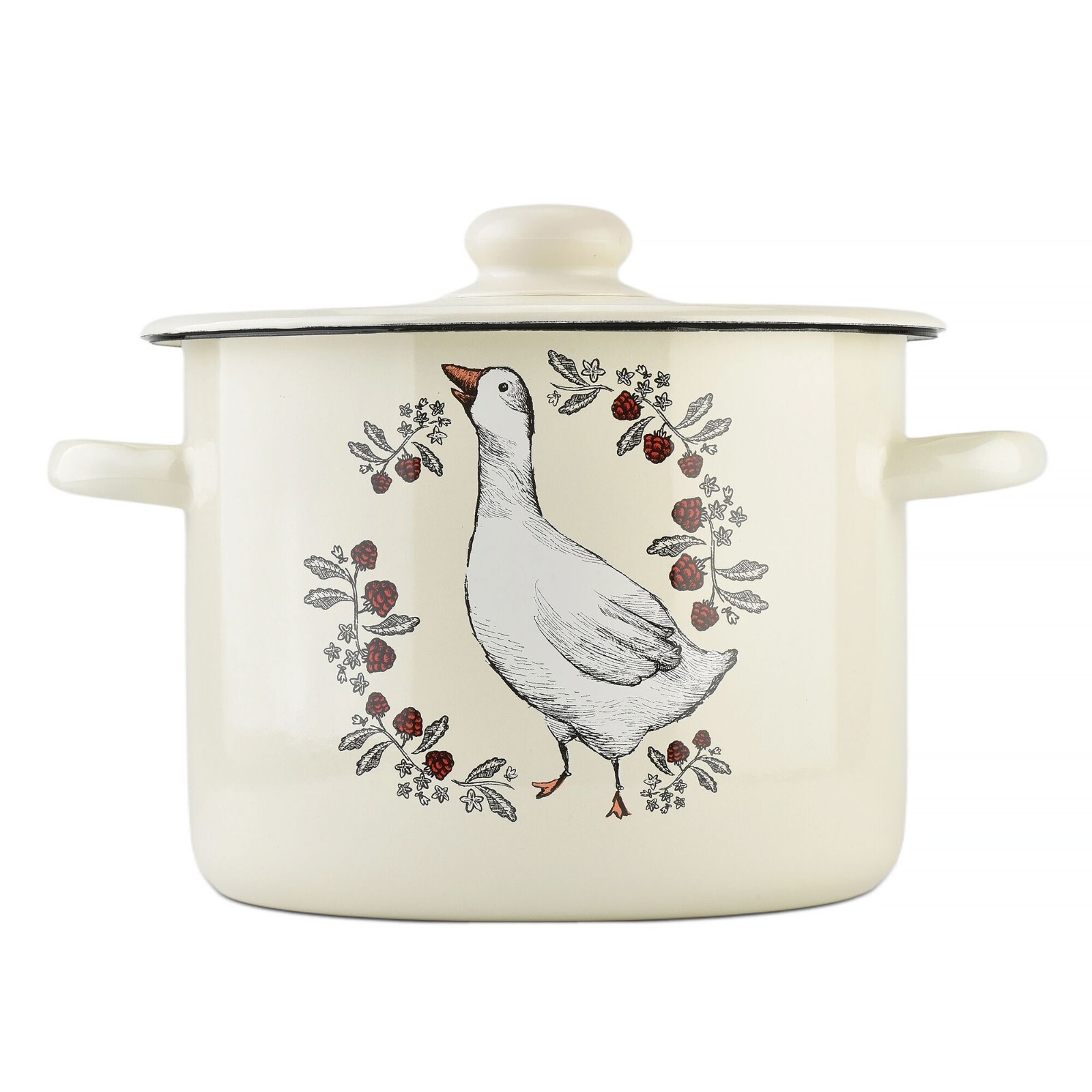Novomoskovsk Goose Enamel Stockpot Vintage Cooking Pot Enameled Soup Pot