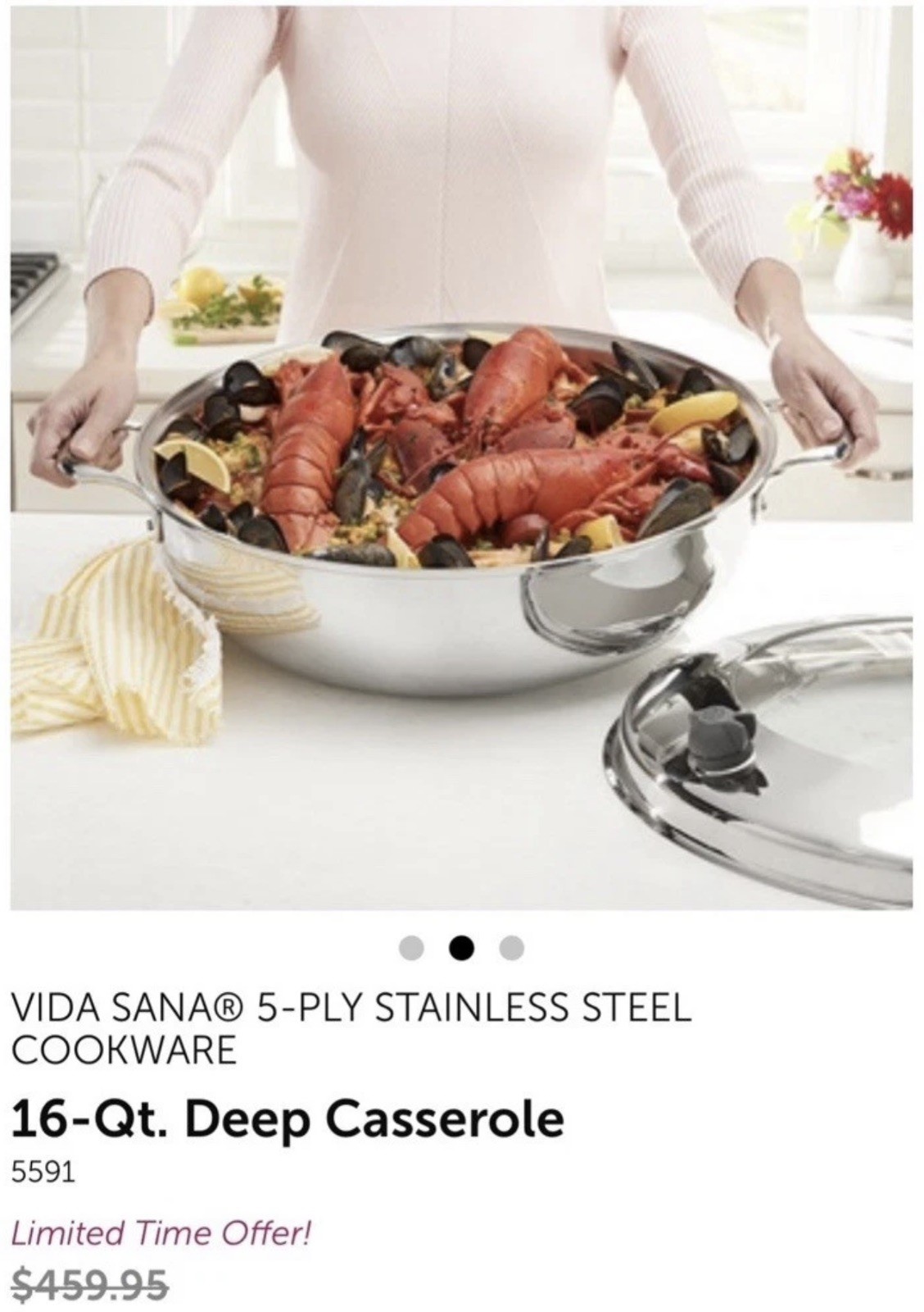 Princess house 16 qt Deep Casserole Vida Sana