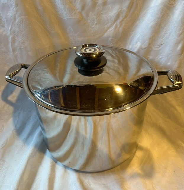 Professional Platinum 20 Quart Stockpot