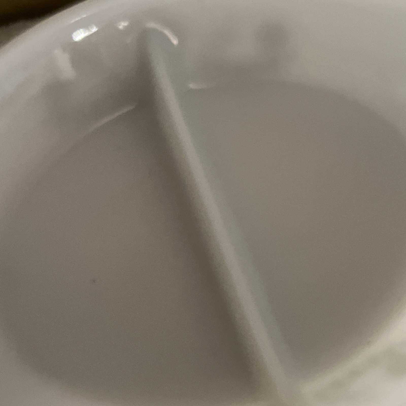 Vintage Glasbake Green Daisy Milk Glass Divided Casserole Dish USA 12”