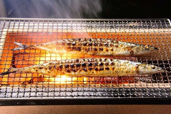 Yakitori BBQ TK-414 Stainless Charcoal Grill Barbecue Hibachi Konro Brand New