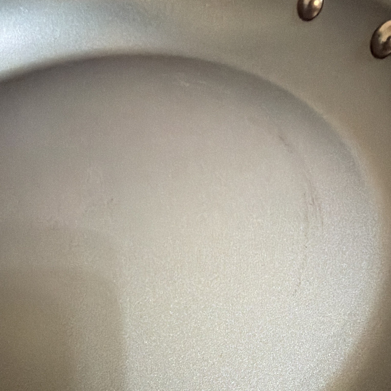 Made In | ProCoat Non-Stick Stainless Steel Frying Pan 12.5″ | Long Handle