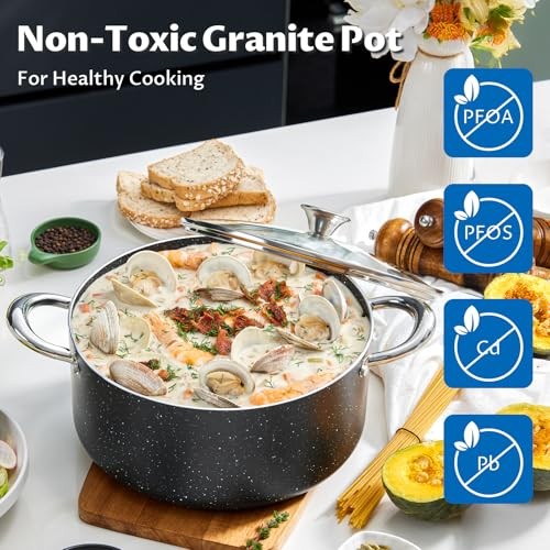 Large 8 Quart Nonstick Stock Pot with Lid, Induction Cooking Pot 8qt/10.2in