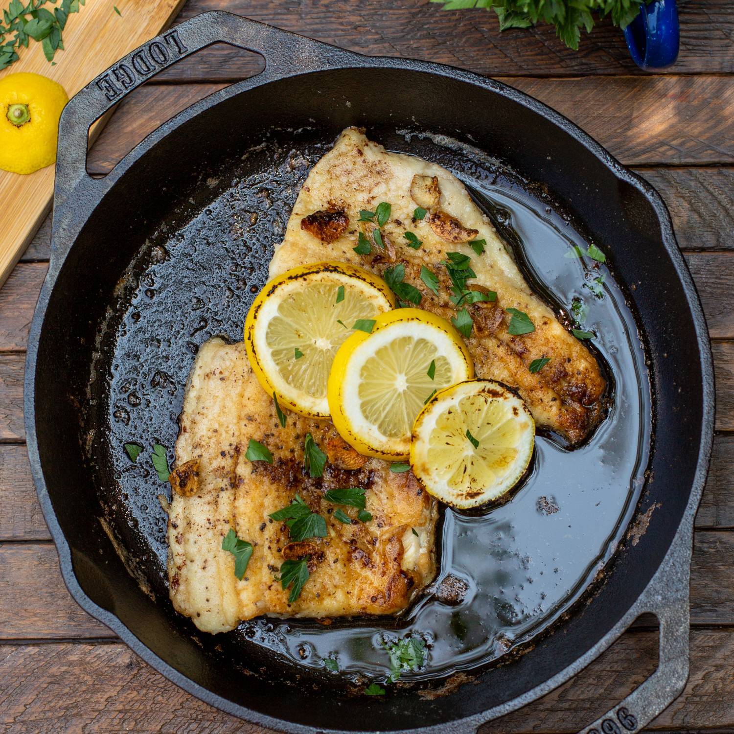 Lodge Cast Iron Dual Handle Camper Skillet Pan Seasoned 10.25 in