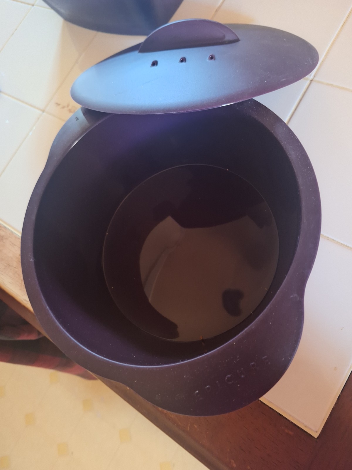 Epicure Round Steamer Silicone 14 3/4 cup, Diameter 8 1/2″ Purple, sealed bag
