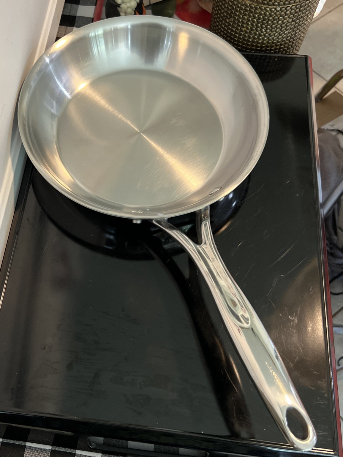 The Pampered Chef 10″ Stainless Steel Omelet Fry Pan Sauté Skillet 10 Inch 24cm