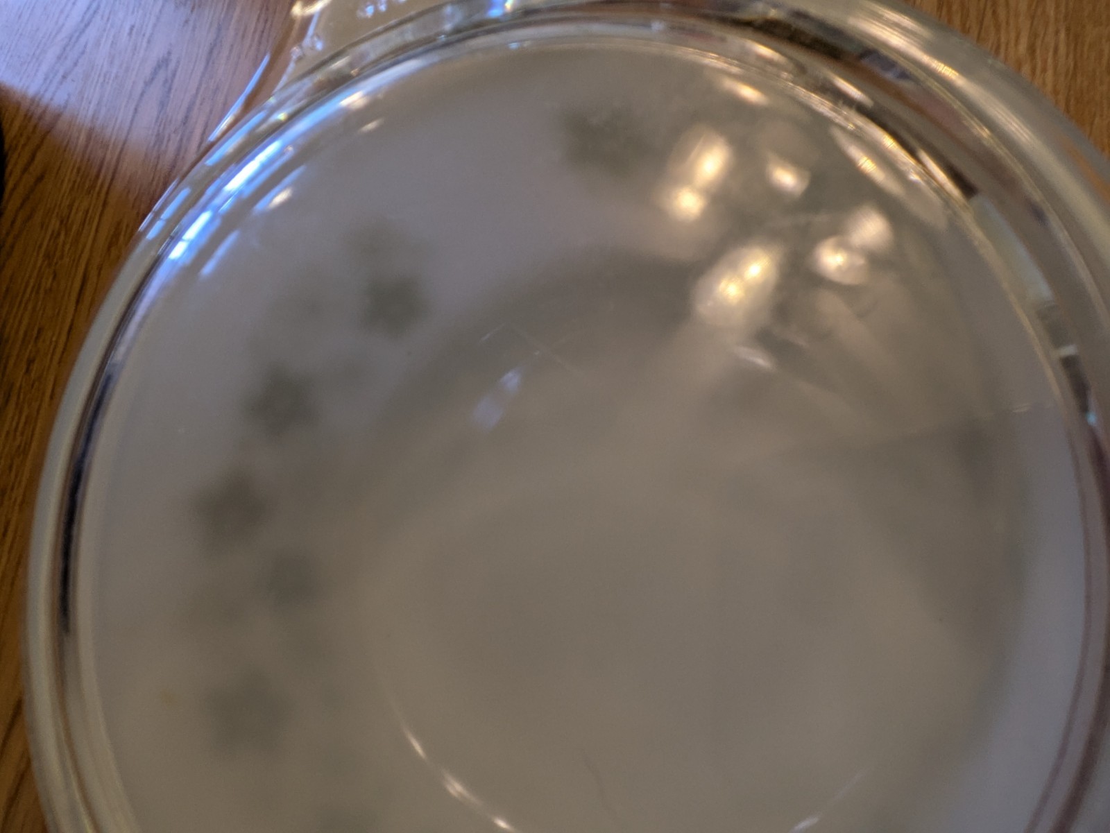 Pyrex Spring Blossom casserole dishes Lids Crazy Daisy 473 472 461 Set Of 3
