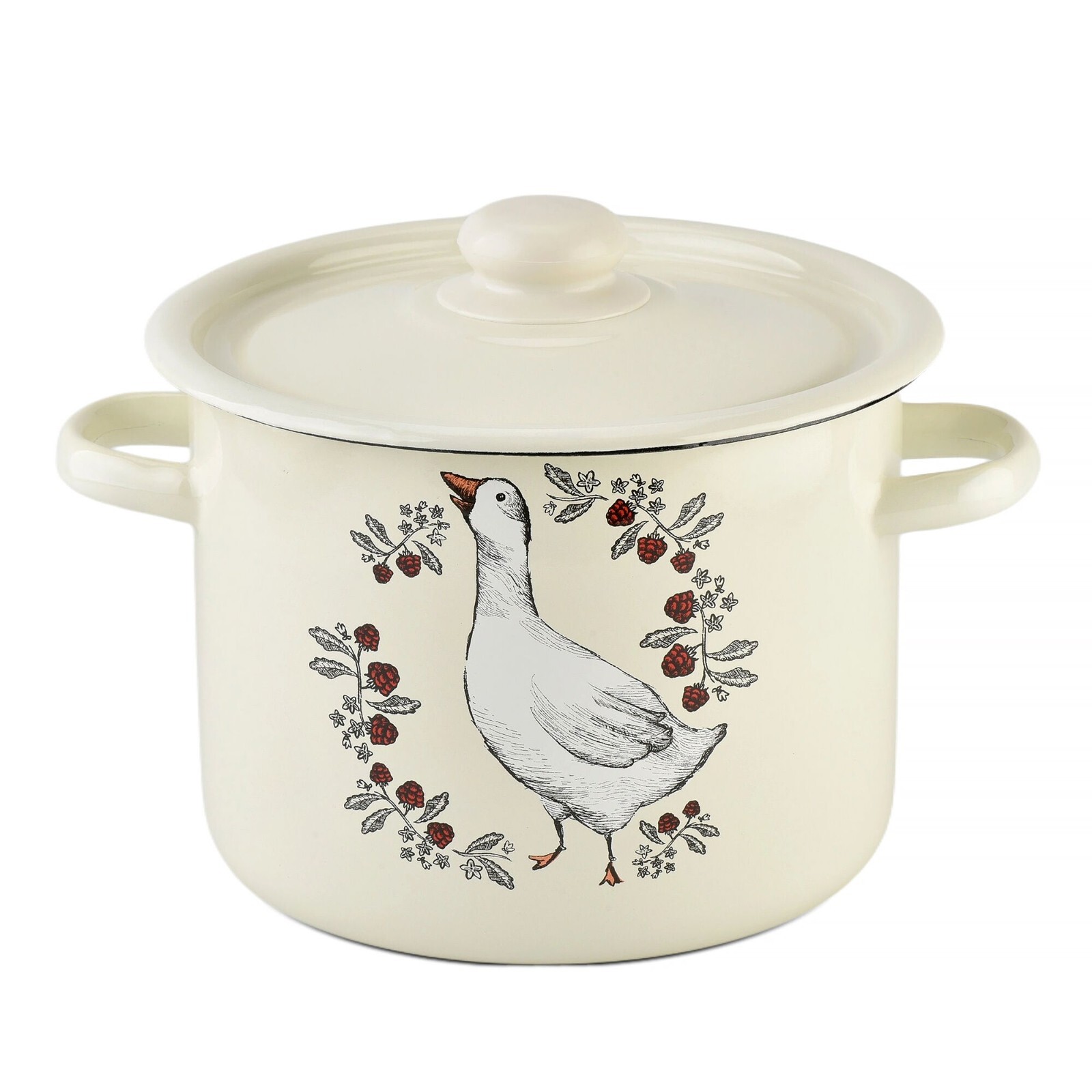 Novomoskovsk Goose Enamel Stockpot Vintage Cooking Pot Enameled Soup Pot
