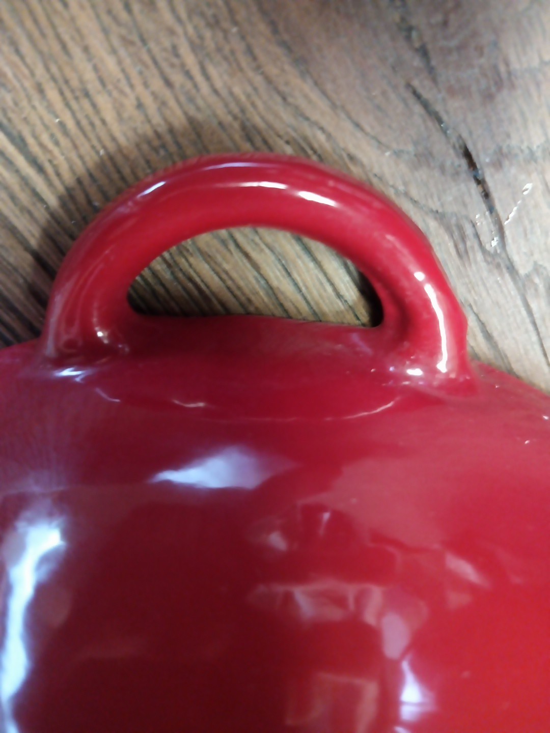 Technique Brand Cast Iron/Enamel Dutch Oven Red Tomato/Apple