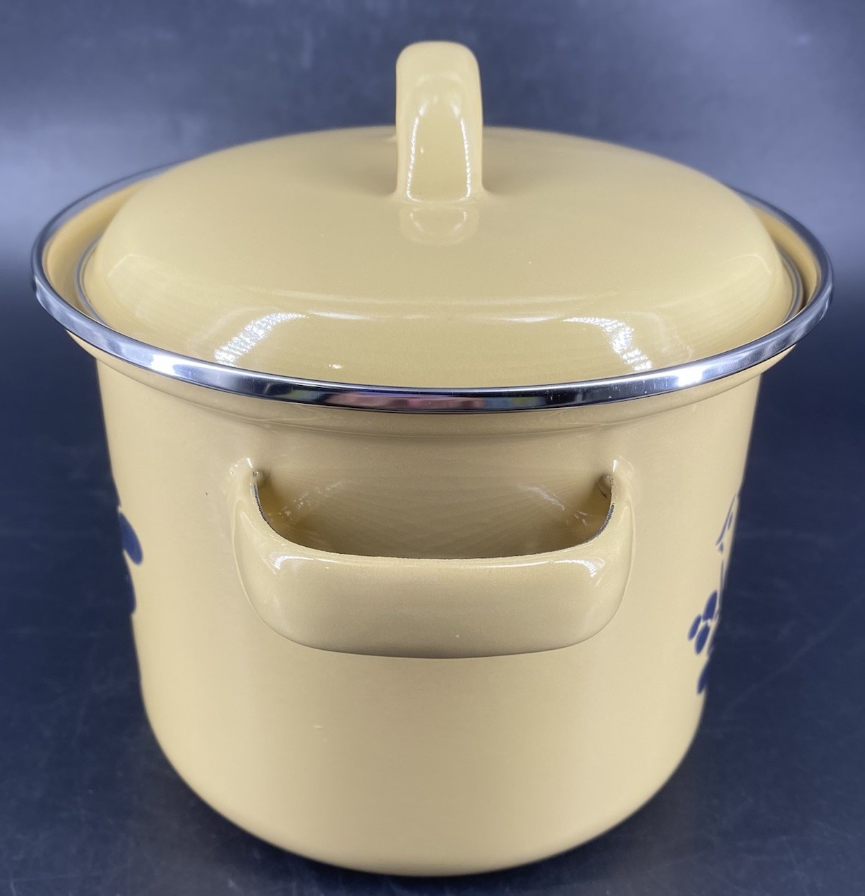 Vtg 80s Pfaltzgraff Folk Art Stock Pot Metal Bird Double Handle Enamel 1.75 Qt