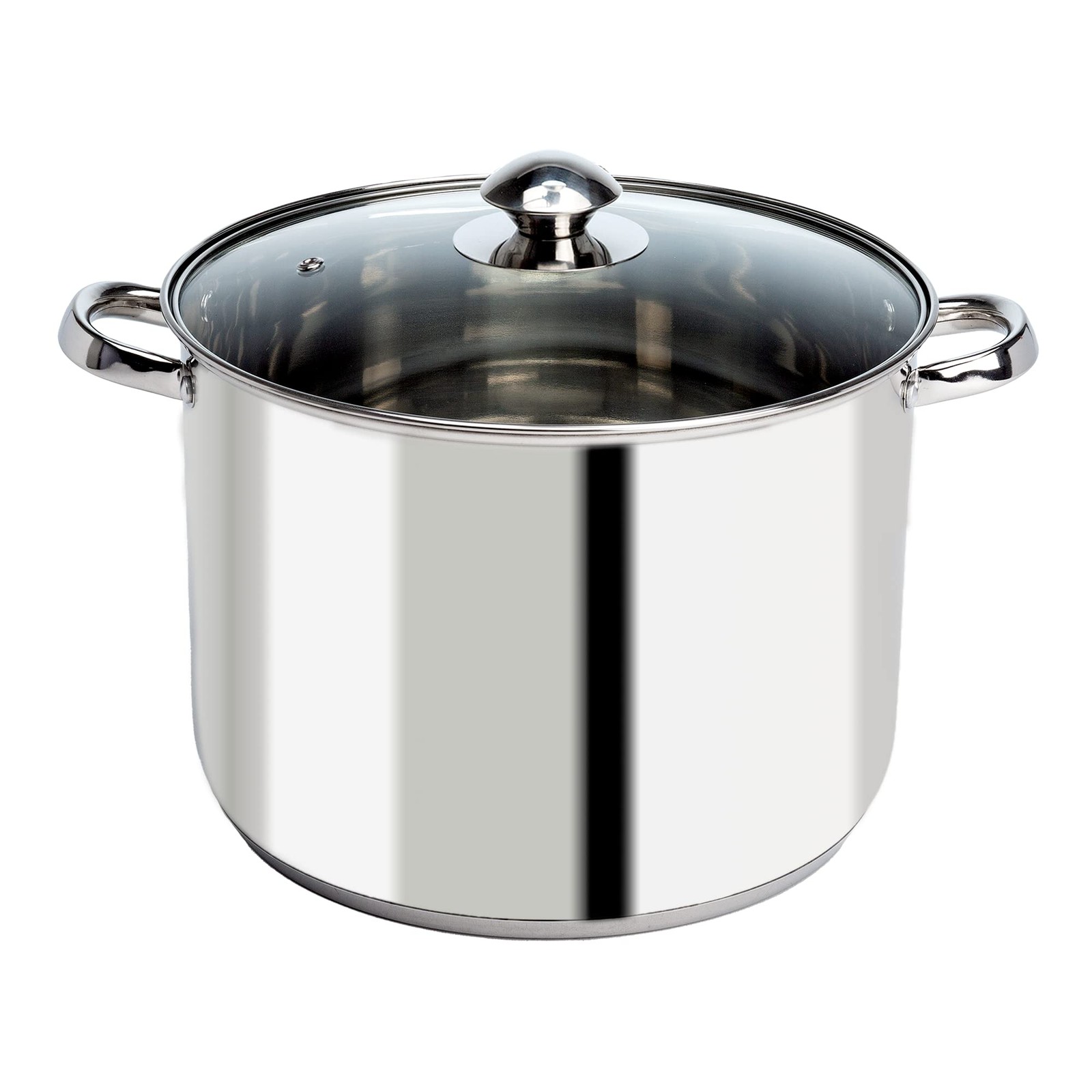Ecolution Stainless Steel Stock Pot, Encapsulated Induction Ready Cooking Pot…