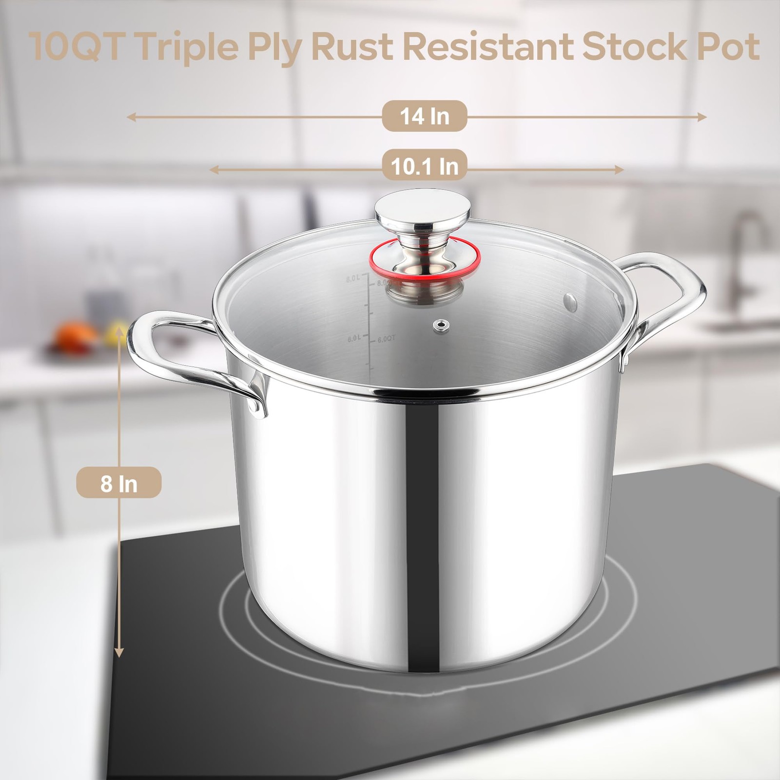 Lianyu 10 Quart Pot Lid 10Qt Tri-Ply Heavy Duty Stock Pot 18/10 Stainless Steel