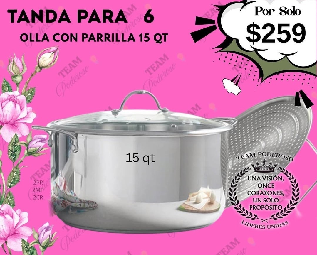 Princess House Heritage Signature 15-Qt Stockpot With Lid & Steam Rack 3681