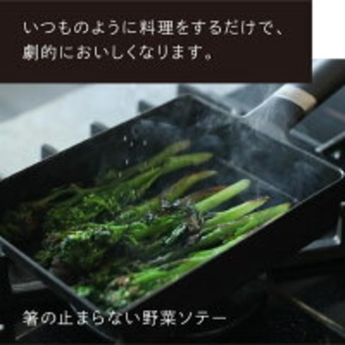 Vermicular Cast Iron Enamel Frying Pan Egg & Toast Pan FPET-WN Metal Japan