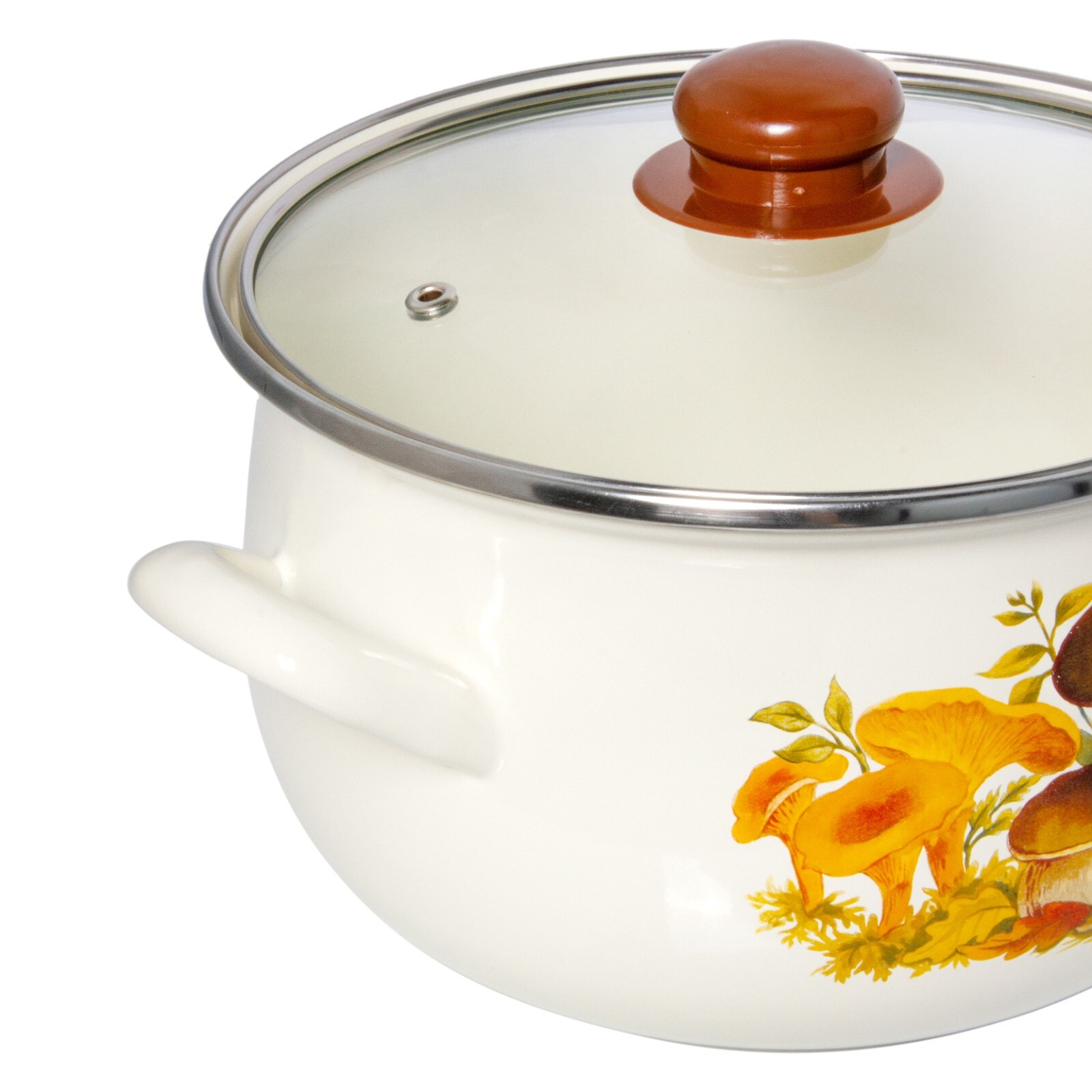 MUSHROOM Enamelware Enamel Stockpot with Glass Lid Enameled Pot Cooking Pot 3qt