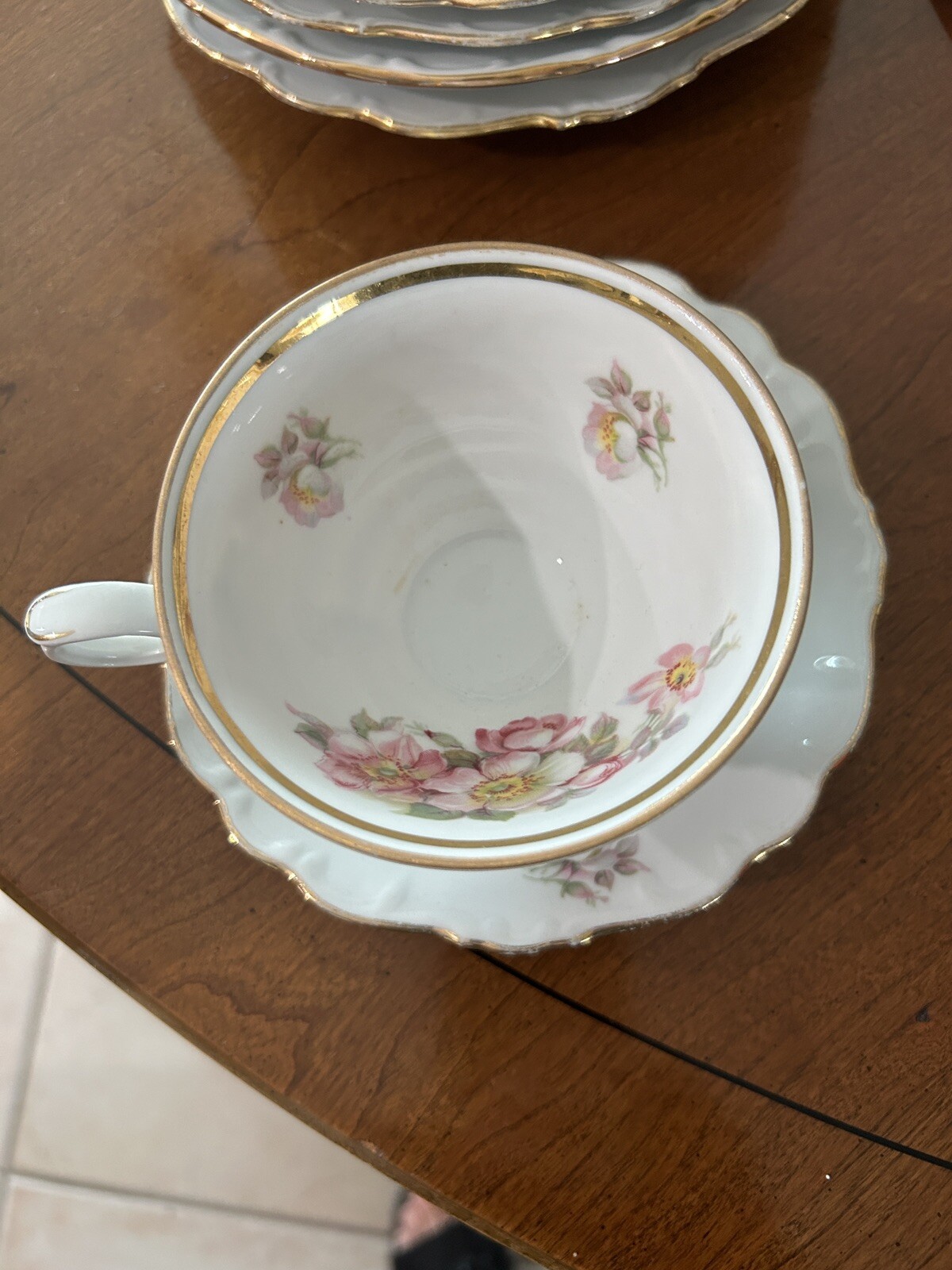Schumann – Bavaria Briar Rose Cup & Saucer 7 Available