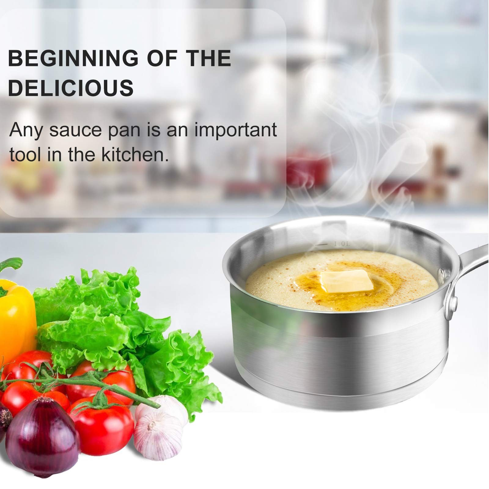 Duxtop Professional Stainless Steel Sauce Pan with Lid, Kitchen Cookware, Ind…