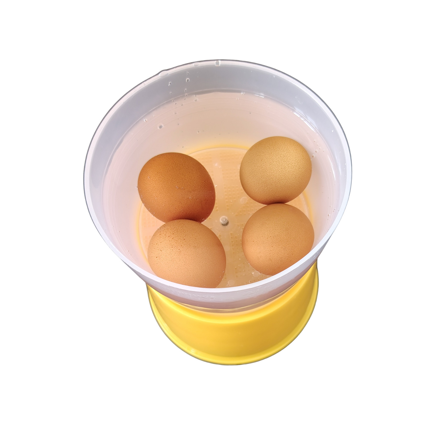 Easy Half Boiled Egg Maker From Malaysia Boil From 1 to 4 Eggs Yellow Color