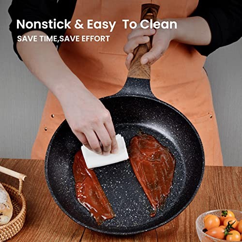 Nonstick Frying Pans Set with Lid, 10 In 11.5 In Aluminum 10 inch + 11.5 inch