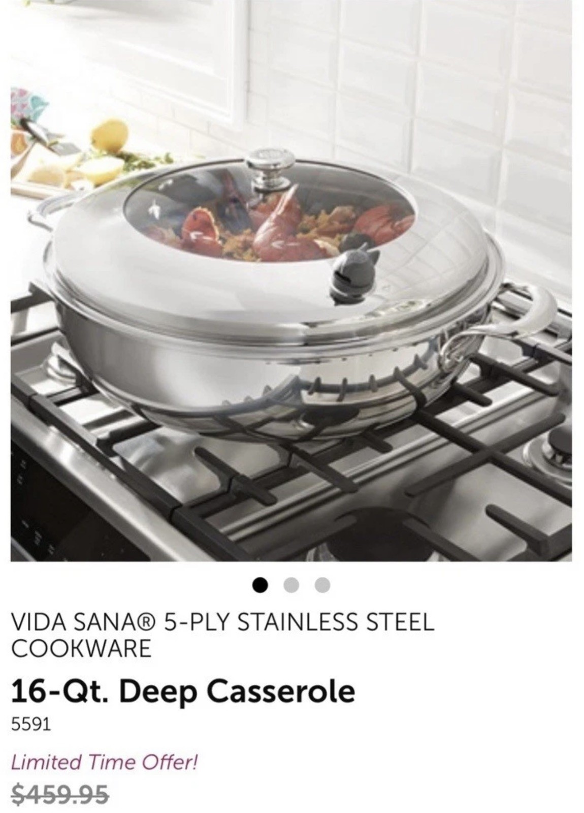 Princess house 16 qt Deep Casserole Vida Sana