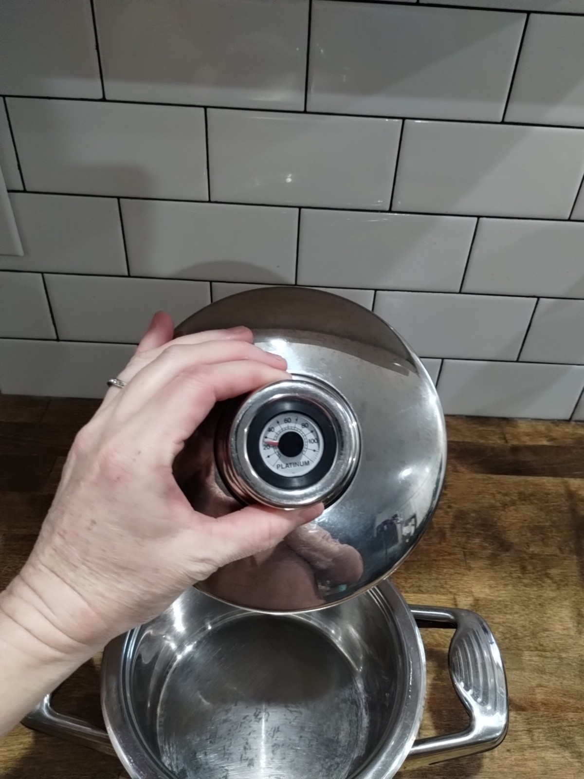 Platinum Professional 2 Qt Cooking System Titanium 24 Elements T-304S Pot w/Lid